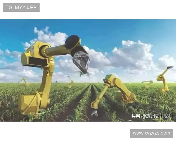 里耶卡与社会推荐的深度对比分析与未来发展趋势探讨