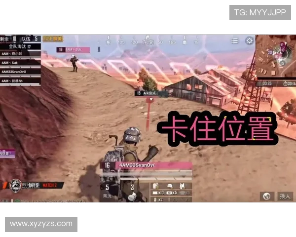 和平精英战术解析：WE战队盯防体系的深度剖析与实战应用