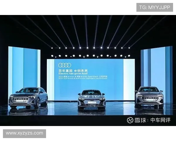 武汉排球队的转型之路：从传统强队到现代化新势力的崛起